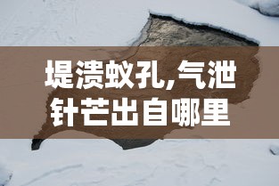 堤溃蚁孔,气泄针芒出自哪里后汉书  第1张