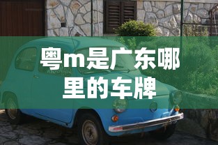 粤m是广东哪里的车牌  第1张