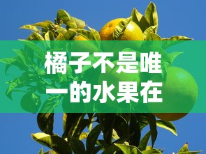 九品芝麻官演员表  第1张