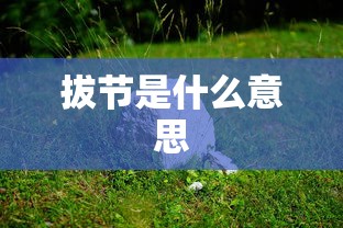 拔节是什么意思  第1张