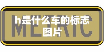 h是什么车的标志图片  第1张