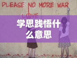 学思践悟什么意思  第1张