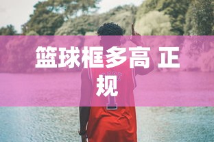 篮球框多高 正规  第1张