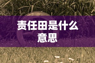 责任田是什么意思  第1张