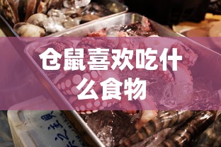 海底神殿指令  第1张