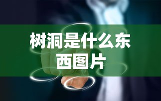 树洞是什么东西图片  第1张