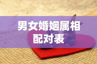男女婚姻属相配对表  第1张