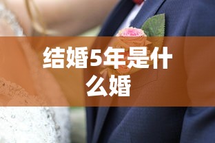 结婚5年是什么婚  第1张