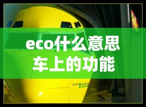 eco什么意思车上的功能  第1张