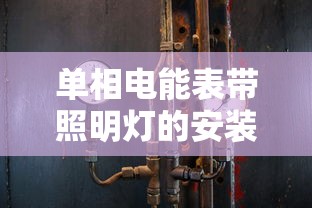 单相电能表带照明灯的安装及接线  第1张