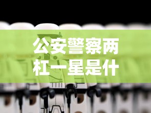 公安警察两杠一星是什么职位  第1张