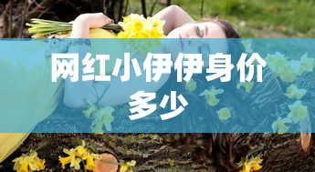 网红小伊伊身价多少  第1张