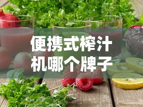便携式榨汁机哪个牌子质量好  第1张