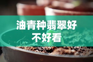 油青种翡翠好不好看  第1张