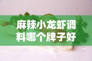 麻辣小龙虾调料哪个牌子好吃  第1张