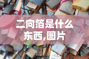 二向箔是什么东西,图片  第1张