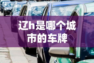 辽h是哪个城市的车牌  第1张