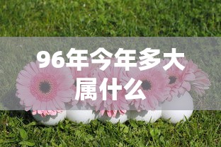 96年今年多大属什么  第1张