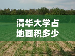 清华大学占地面积多少亩  第1张