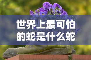 世界上最可怕的蛇是什么蛇  第1张