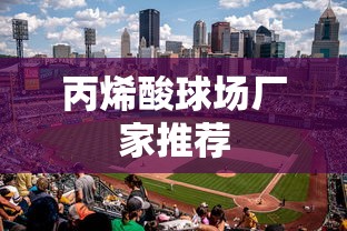丙烯酸球场厂家推荐  第1张