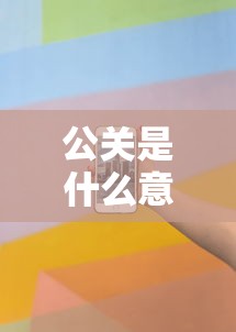 公关是什么意思  第1张