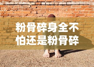 粉骨碎身全不怕还是粉骨碎身浑不怕  第1张