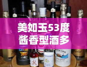 美如玉53度酱香型酒多少钱  第1张