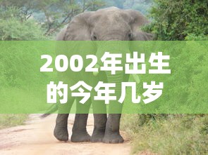 李满林  第1张