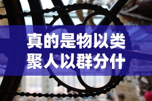 真的是物以类聚人以群分什么意思  第1张