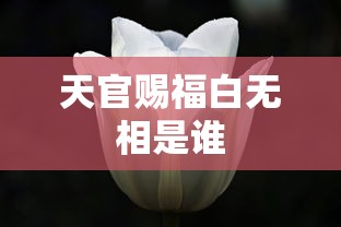 天官赐福白无相是谁  第1张