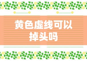 黄色虚线可以掉头吗  第1张