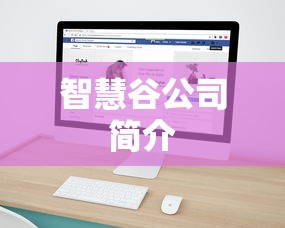 智慧谷公司简介  第1张