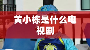 黄小栋是什么电视剧  第1张