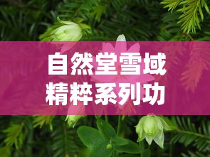 自然堂雪域精粹系列功效作用  第1张
