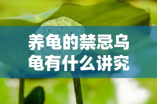 养龟的禁忌乌龟有什么讲究  第1张