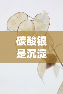 碳酸银是沉淀吗是什么颜色的  第1张