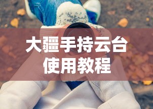大疆手持云台使用教程  第1张