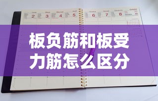 板负筋和板受力筋怎么区分  第1张