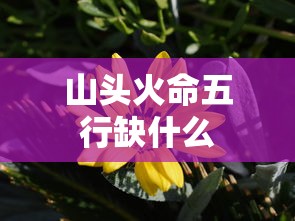 山头火命五行缺什么  第1张