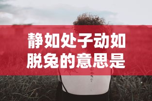 静如处子动如脱兔的意思是什么意思  第1张