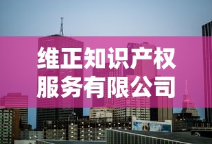 维正知识产权服务有限公司  第1张