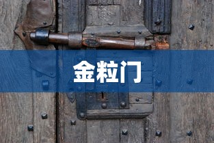金粒门  第1张