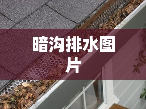 暗沟排水图片  第1张