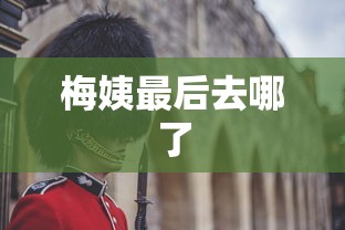 梅姨最后去哪了  第1张