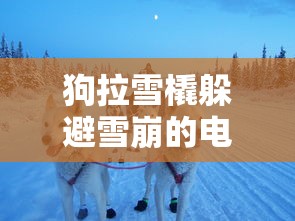 狗拉雪橇躲避雪崩的电影  第1张