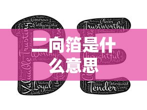 二向箔是什么意思  第1张