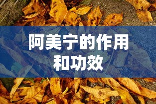 惠州市邮编号码是多少  第1张