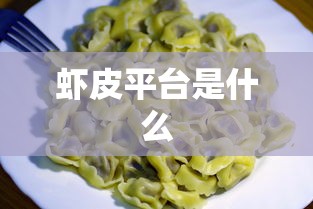 虾皮平台是什么  第1张