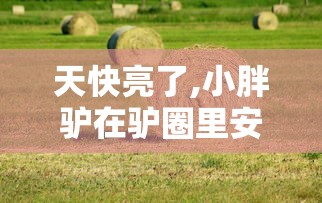 天快亮了,小胖驴在驴圈里安安稳稳地吃着干草缩句  第1张